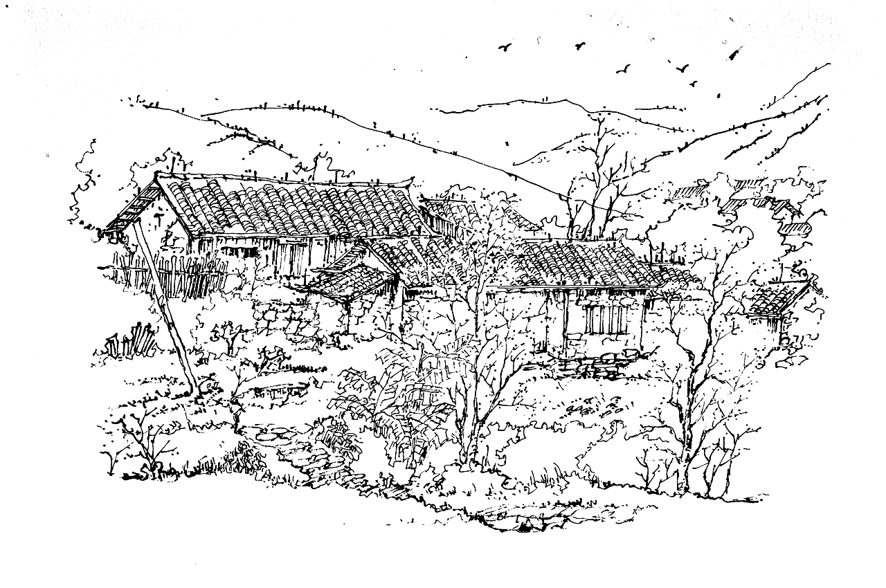 延杨红钢笔风景——故乡的记忆（图ZMTQyNzk3NTA0） - 绘画 - 站酷设计师延杨红钢笔画原创素材 - 站酷ZCOOL