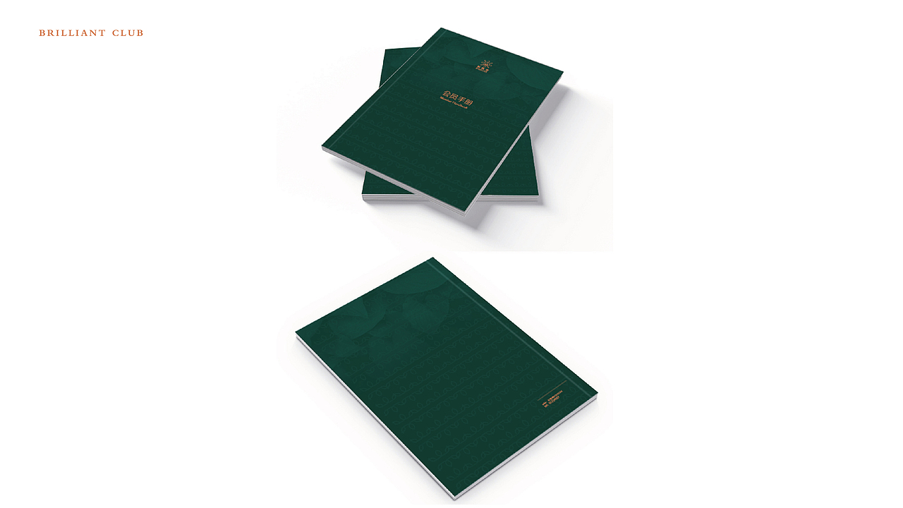 logo提案（图ZMTY3ODE3NjM2） - Logo - 站酷设计师designping原创素材 - 站酷ZCOOL