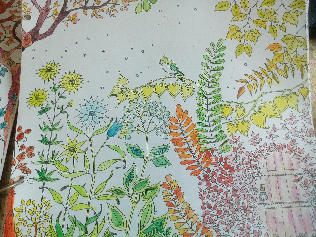 秘密花园,第一集