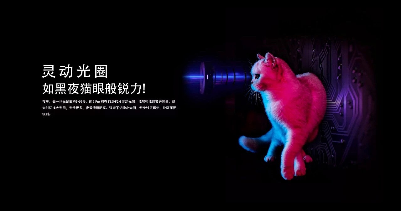 宠物摄影|（图ZMTQ3MTIwMTMy） - 宠物摄影 - 站酷设计师LUCKY宠物摄影原创素材 - 站酷ZCOOL
