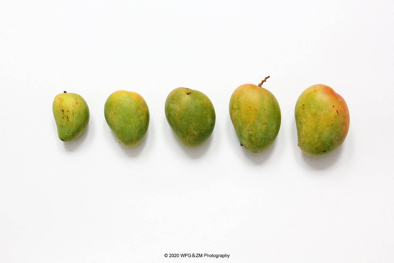 《 HELLO · JULY 》