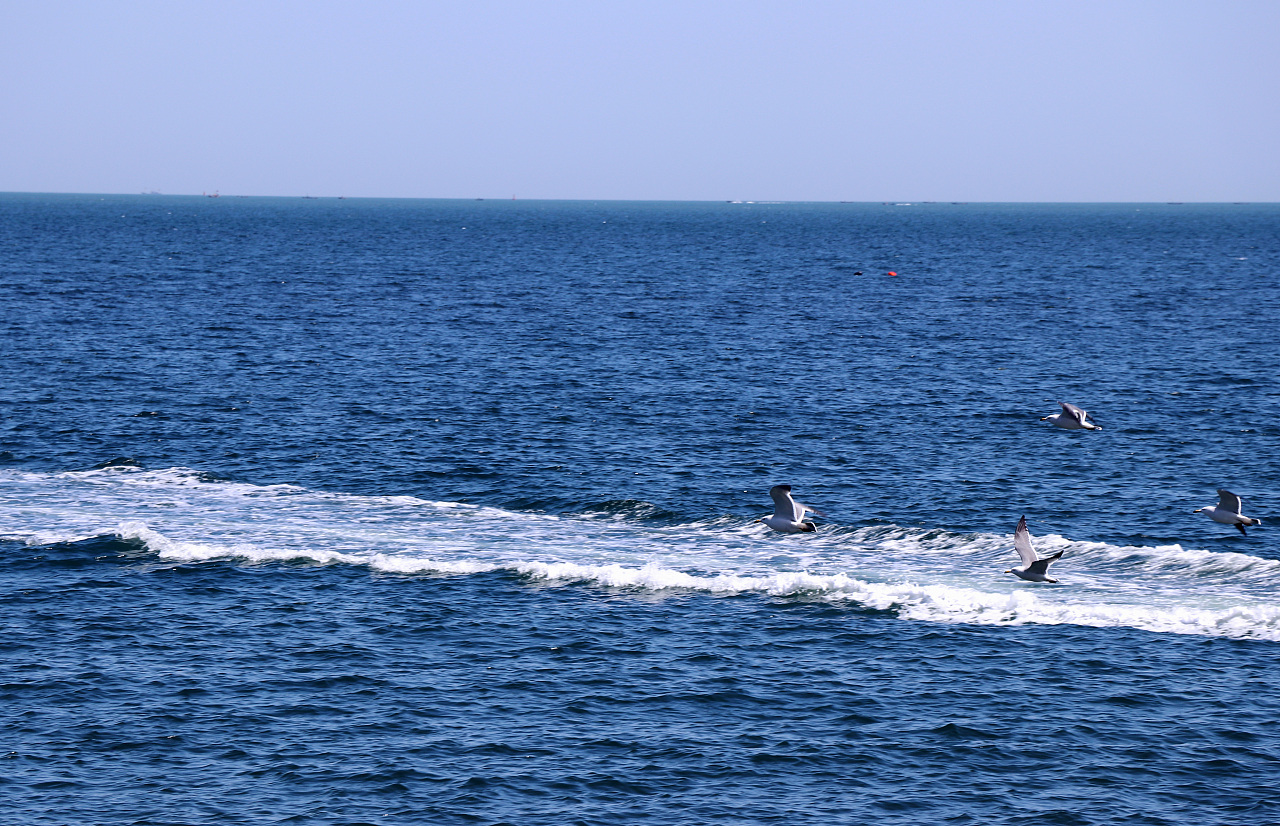 大海|摄影|风光摄影|冰无漪 - 原创作品 - 站酷 (zcool)