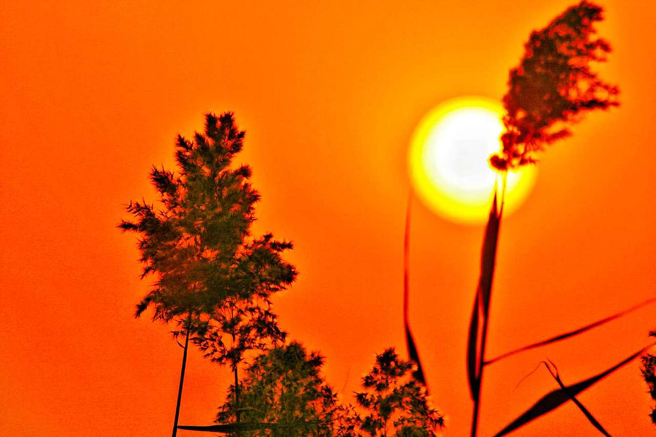 芦影落日（图ZMjMxMDkyNDM2） - 风光摄影 - 站酷设计师千羽帆原创素材 - 站酷ZCOOL