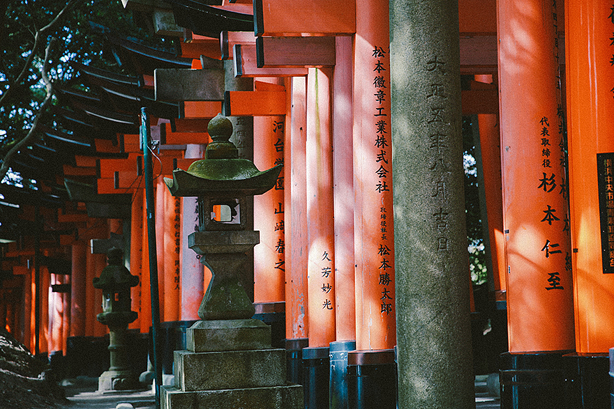 新一轮的春夏秋冬。