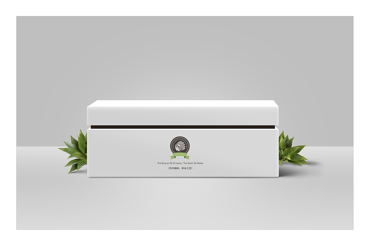 蒂畢安拉專業(yè)線精油加盟連鎖產(chǎn)品整案設(shè)計（圖ZMjQwODk1MjQw） - 生活用品 - 站酷設(shè)計師古韻QQ44568302原創(chuàng)素材 - 站酷ZCOOL