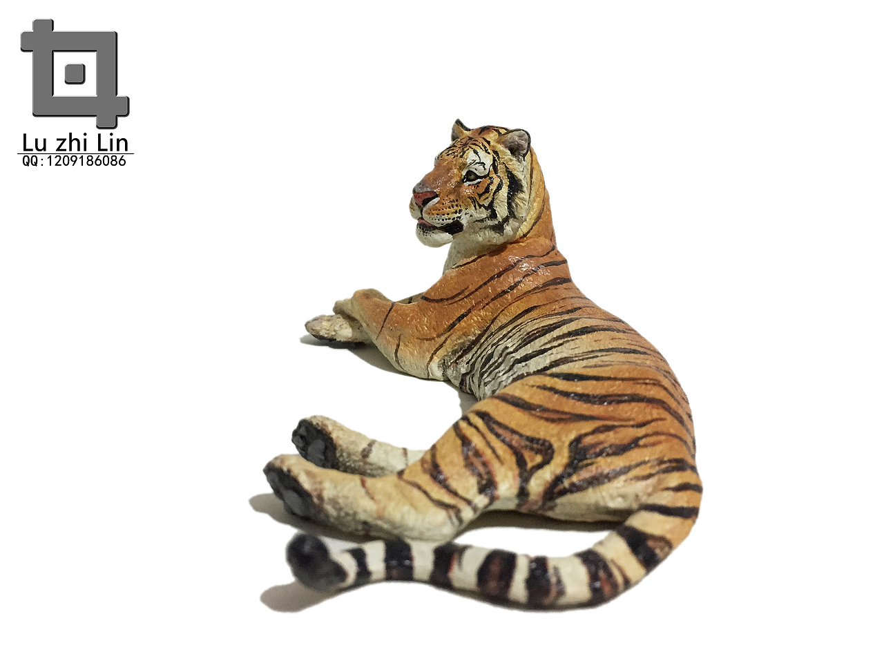 动物模型 老虎展示