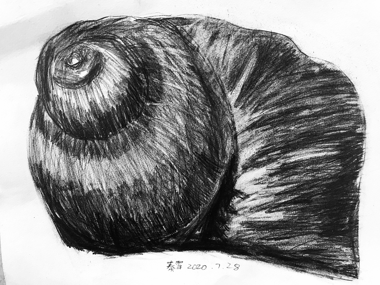 布谷书画素描学生作品辑（图ZMjIyNzY4Nzg0） - 绘画 - 站酷设计师布谷书画馆原创素材 - 站酷ZCOOL