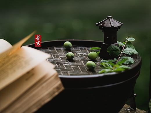 国风静物摄影 | 溪头卧剥莲蓬