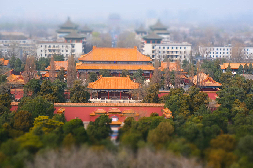 景山公园中的玉兰花和桃花