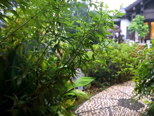 住宅鱼池分享、水质检测快剪