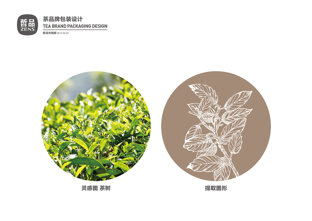 哲品茶品牌提案