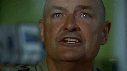 一只老白的奋斗