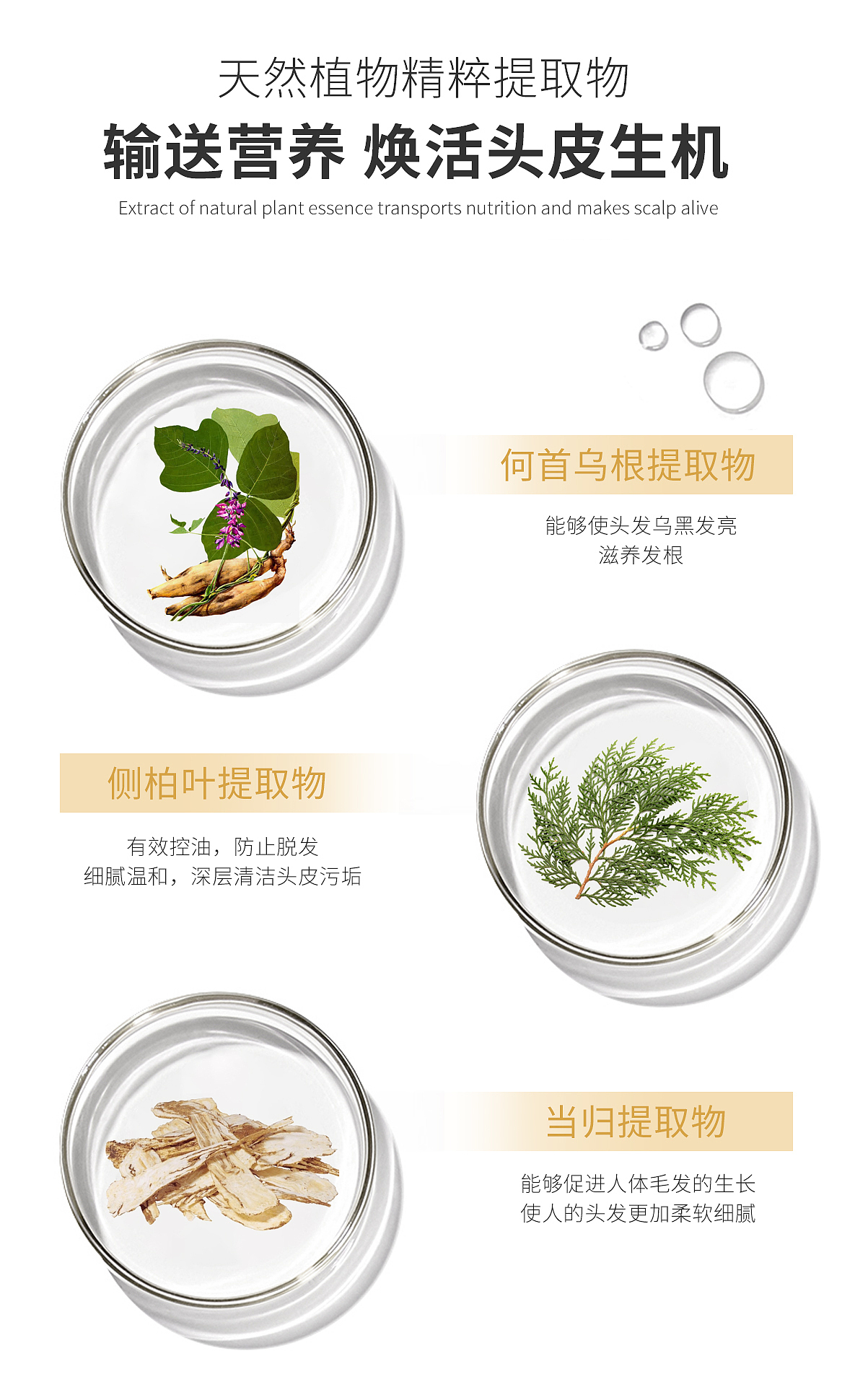 防脱育发液详情页