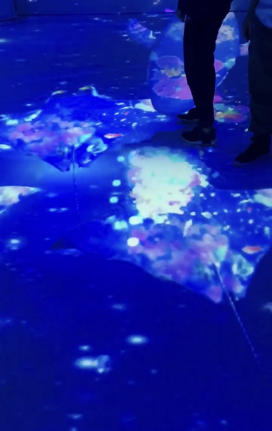 鲸鱼岛全息AR互动光影展（图ZMjEzMDQ3ODc2） - 其他 - 站酷设计师TMTT全息光影原创素材 - 站酷ZCOOL