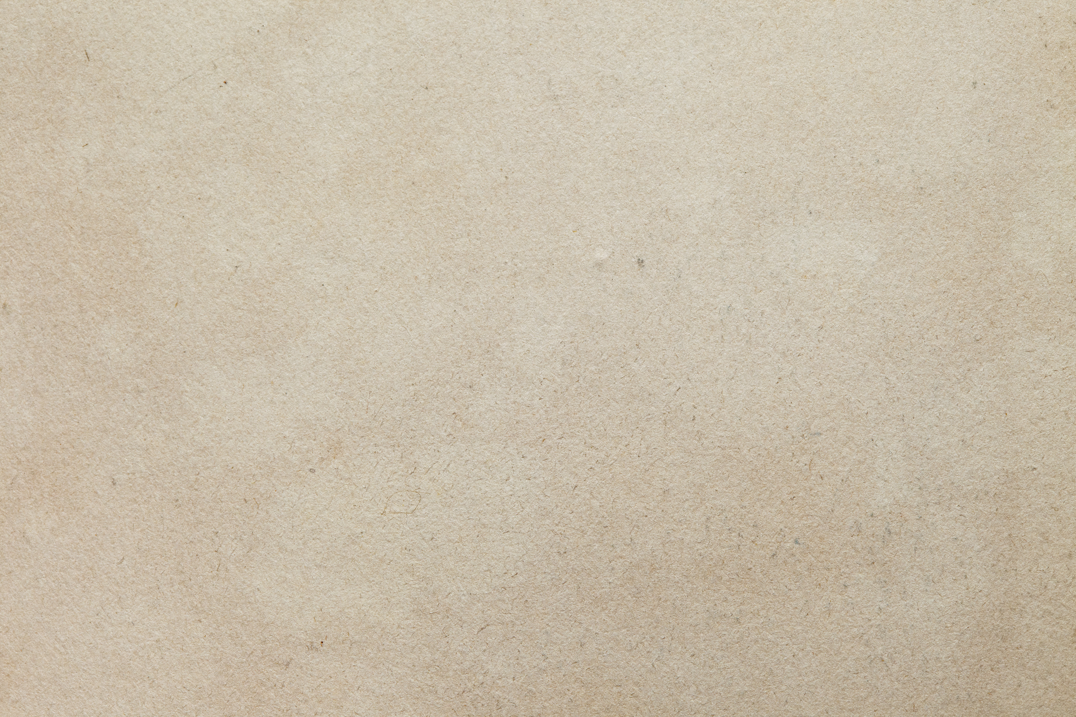 蚯蚓蚯蚓我是乌龟