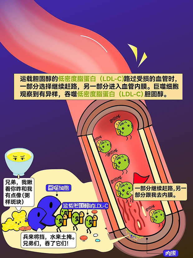 秋冬心血管疾病科普动漫（图ZMzU4NjgxNTUy） - 短篇/格漫 - 站酷设计师金不二的每文原创素材 - 站酷ZCOOL
