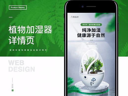 1个植物加湿器详情+1个净化器详情