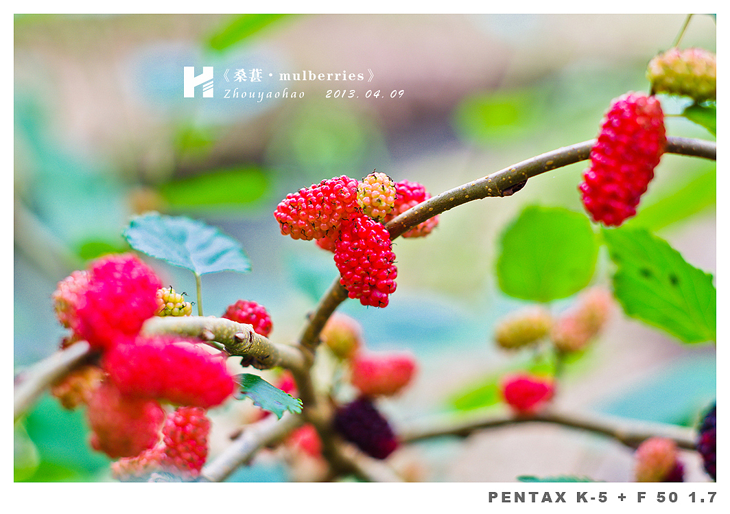 《桑葚.mulberries》（图ZODk2MDQxNg==） - 产品摄影 - 站酷设计师haodychou原创素材 - 站酷ZCOOL