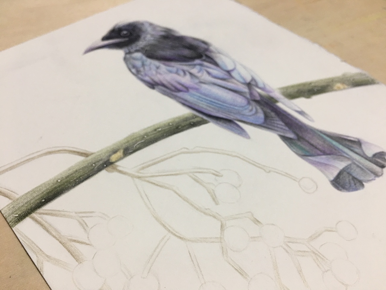 每天进步一点点