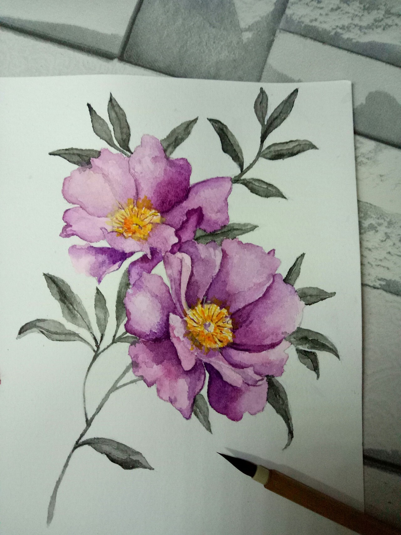 水彩花卉作品|纯艺术|绘画|zhouwei0627 - 原创作品 - 站酷 (zcool)