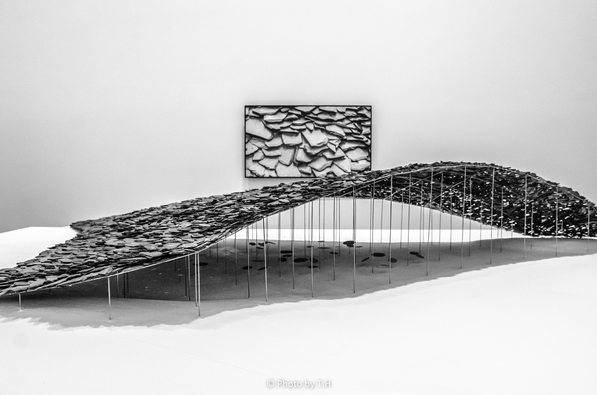 石上纯也:自由建筑|摄影|产品摄影|tom2004cat - 原创作品 - 站酷