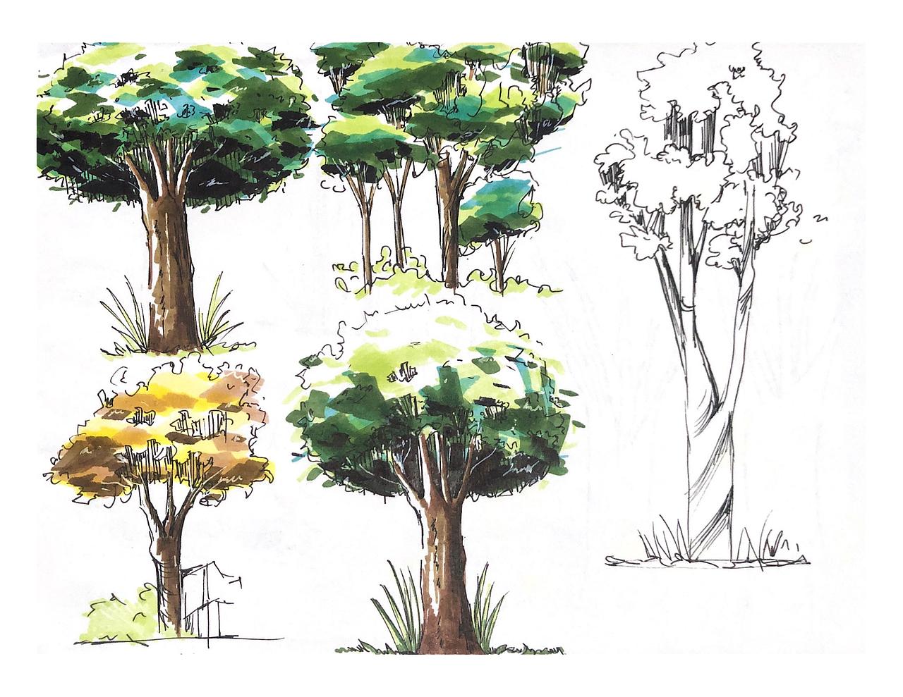 马克笔（图ZMjQ1ODQxNDIw） - 艺术插画 - 站酷设计师Ranlucky原创素材 - 站酷ZCOOL