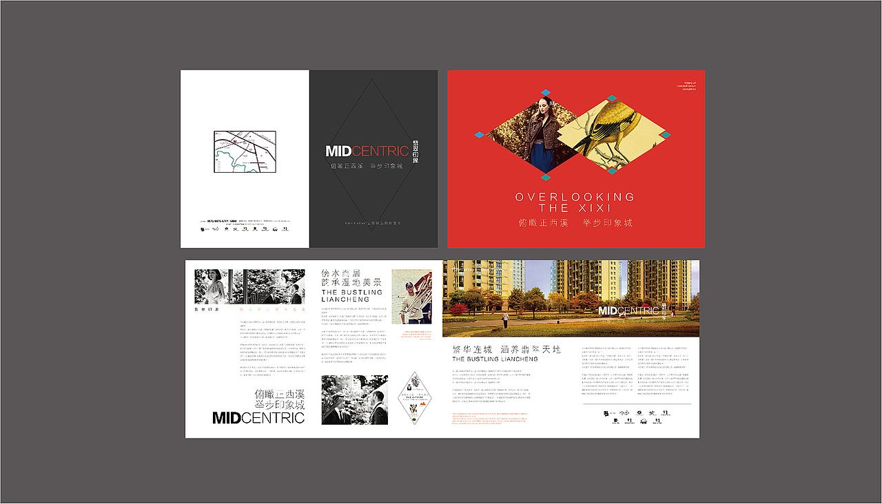 轻奢地产视觉提报