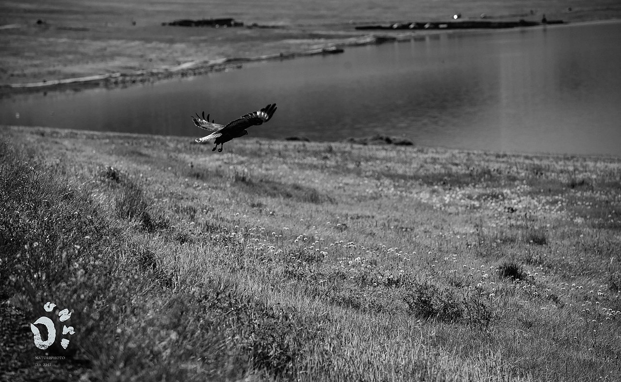 路遇风景（图ZMzUwMjI5MjI4） - 风光摄影 - 站酷设计师naturephoto原创素材 - 站酷ZCOOL