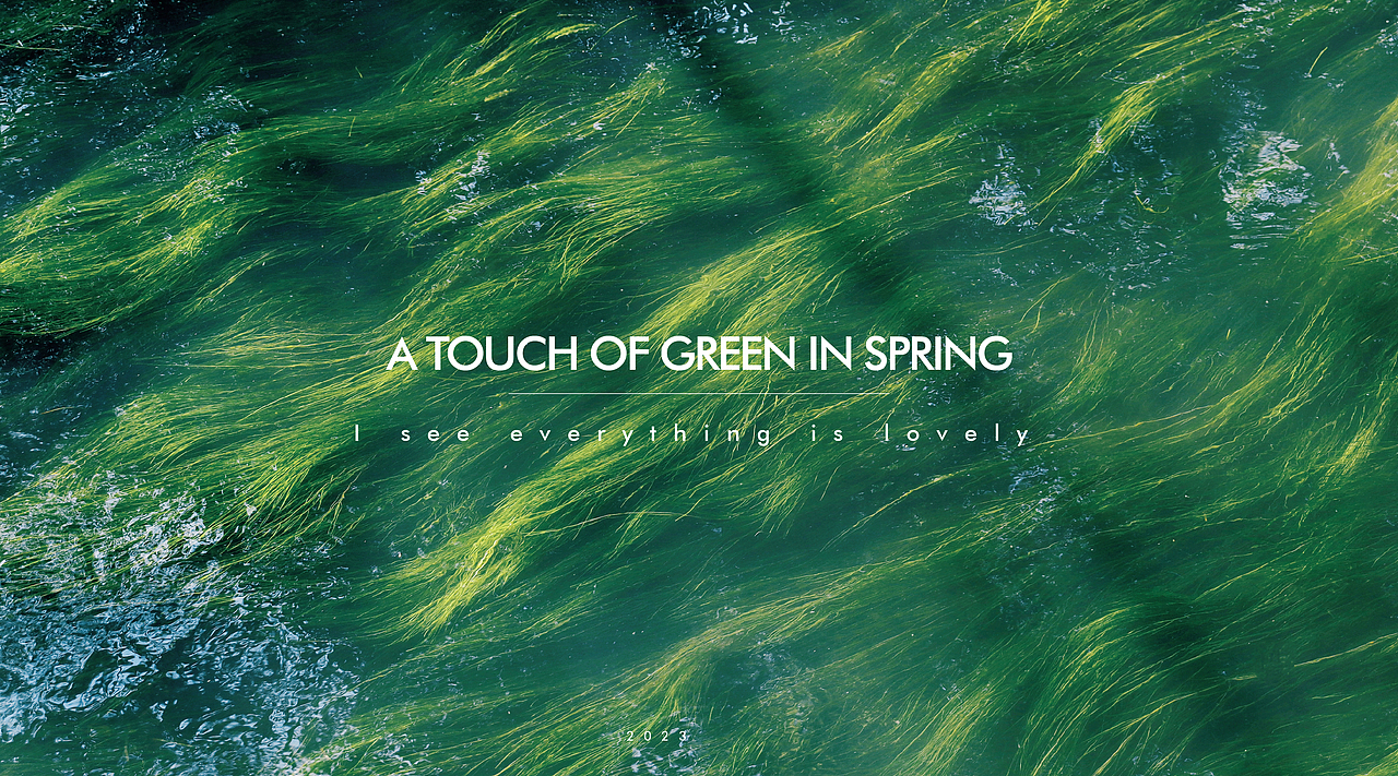 春日里的一抹绿（图ZMzM1NDYyMDI0） - 风光摄影 - 站酷设计师juvenile奶瓶原创素材 - 站酷ZCOOL