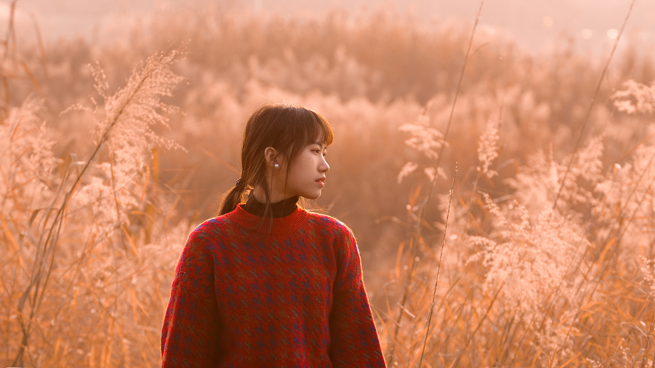 一组湖边芦苇约拍