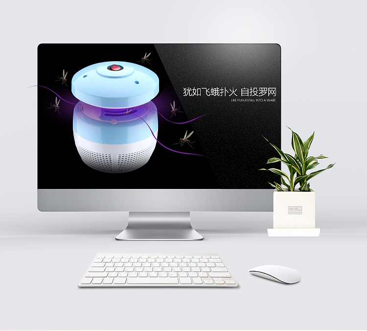 贰零壹陆-《灭蚊灯》