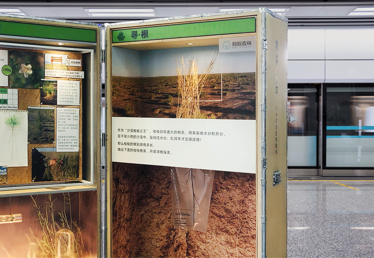 森林LAB 你身边的蚂蚁森林(图ZMjg3MjkwMjY0) - 展陈设计 - 站酷设计师不是美术馆原创素材 - 站酷ZCOOL