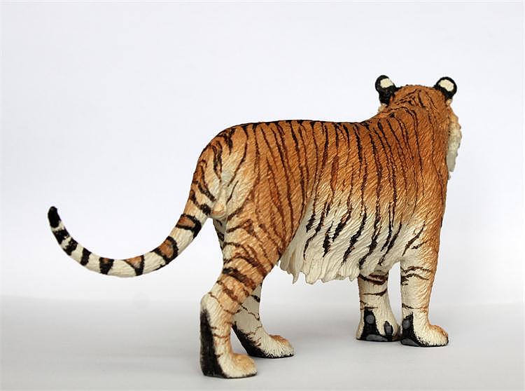 【大飞GK工作室】动物模型制作——虎九亚种之第三款 已灭绝虎种里海虎