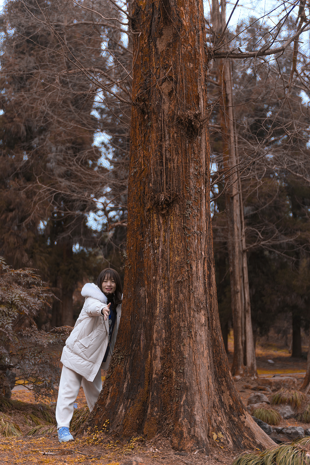 植物园人像摄影（图ZMjc4NTI5MDUy） - 人像摄影 - 站酷设计师麦局原创素材 - 站酷ZCOOL