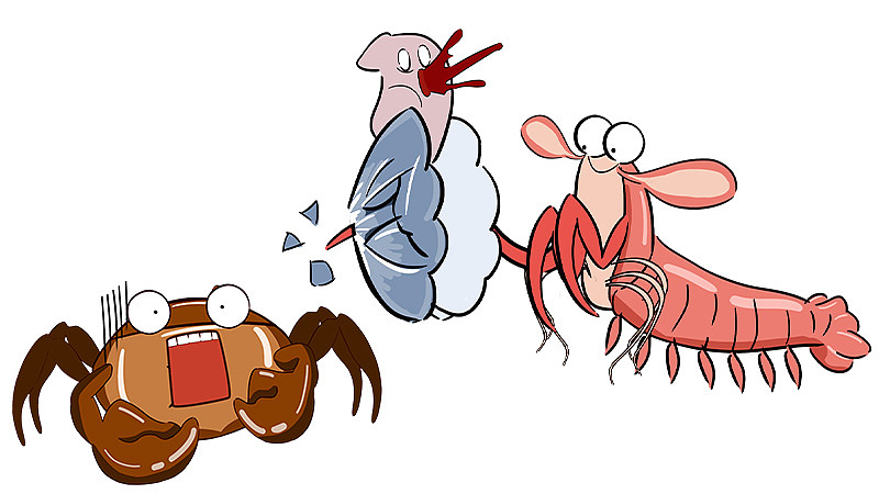 水一方形象/动画设计