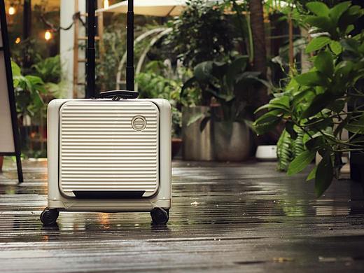 Alumann 旅漫 17in商务开盖_旅行箱