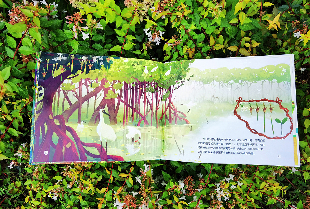 《穿越时空的自然博物馆》绘本合集