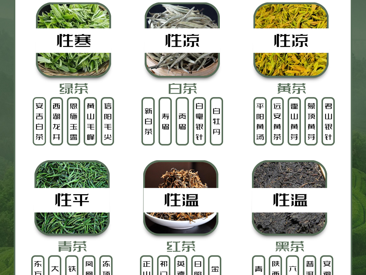 中国六大茶类,乾陈为您解读!_乾陈-站酷ZCOOL
