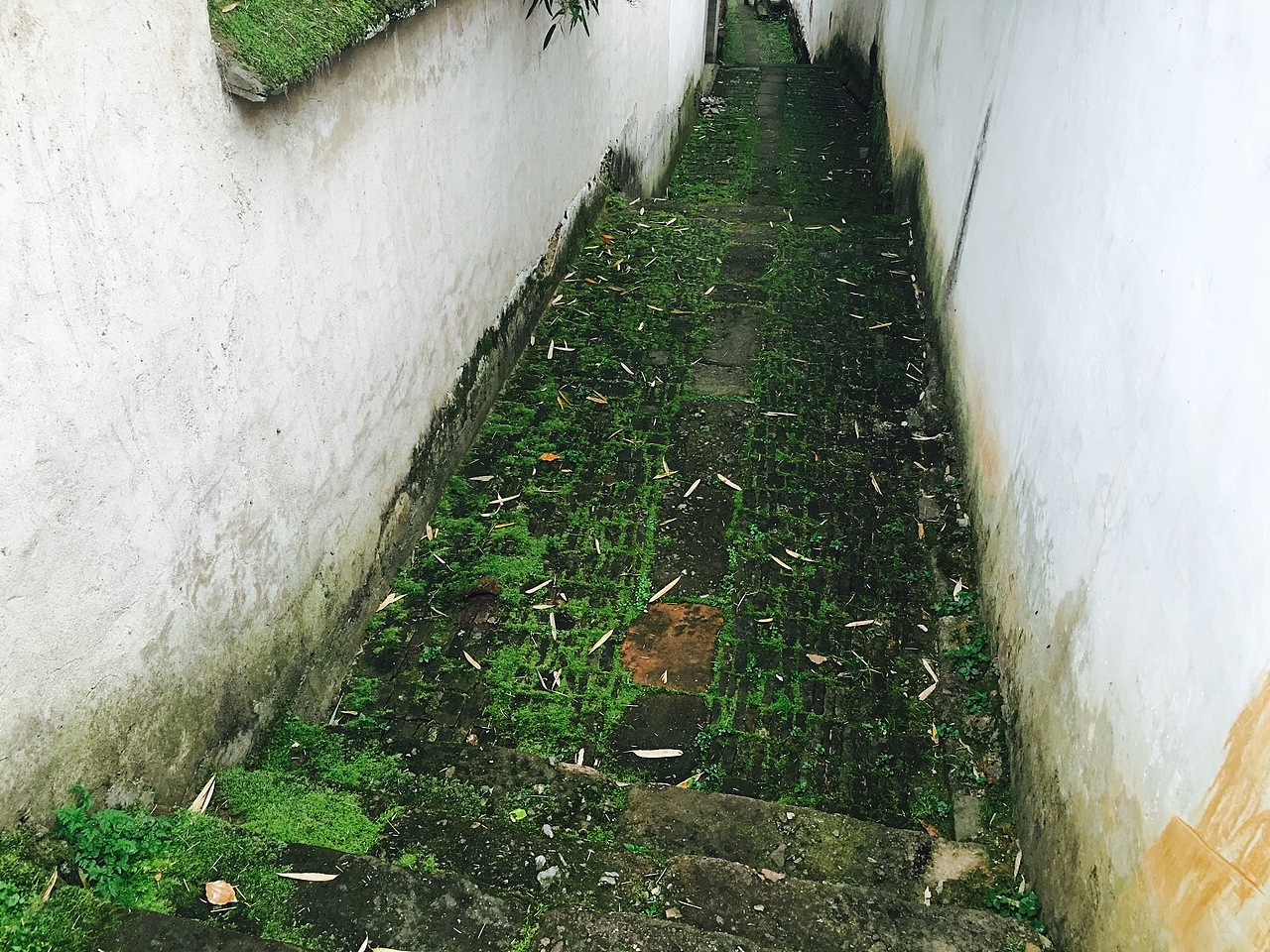 诸葛八卦村景区