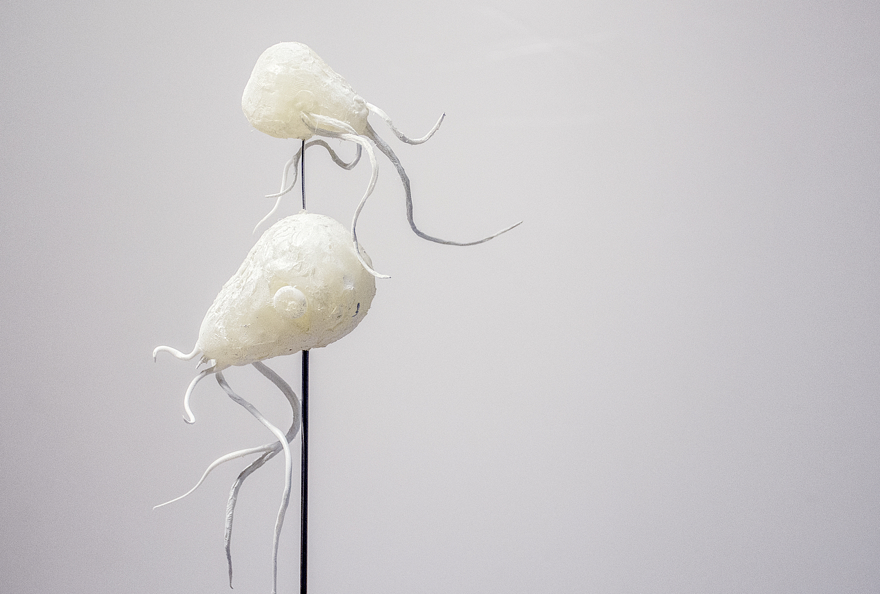 《诗经》中的昆虫（图ZMTcxMDk3NzMy） - 手办/模玩 - 站酷设计师鱿小哉原创素材 - 站酷ZCOOL