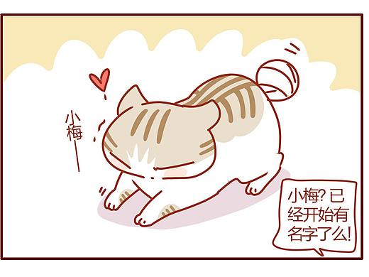 猫咪甜品屋（50）