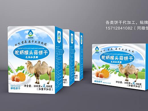 饼干（个人主页-ZNDc3MzIwMjQ=） - 包装 - 站酷设计师泰格大王原创素材 - 站酷ZCOOL