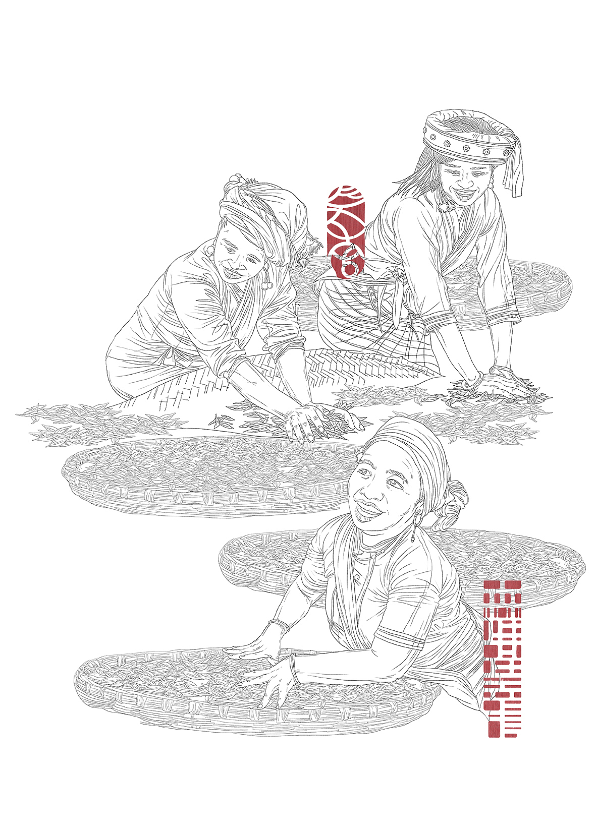 “昌宁号茶铺”茶叶生产工艺流程插画绘制（图ZOTQxODcxNTY=） - 商业插画 - 站酷设计师森特笑虎原创素材 - 站酷ZCOOL