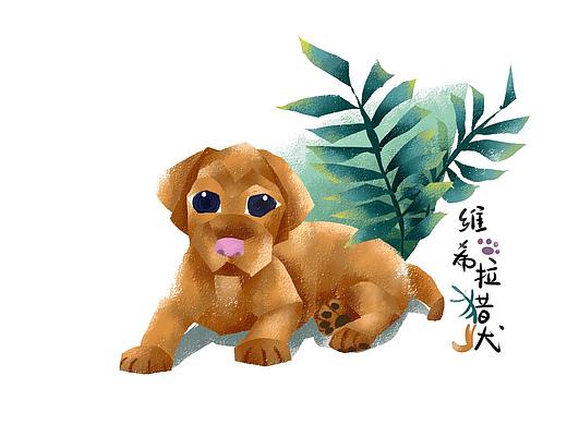 幾張動(dòng)物插畫練習(xí)（個(gè)人主頁(yè)-ZNTYxNDg5MTY=） - 創(chuàng)作習(xí)作 - 站酷設(shè)計(jì)師一LOSTAR一原創(chuàng)素材 - 站酷ZCOOL