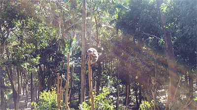 instant tomorrow（图ZODc2MDAwNTY=） - 人像摄影 - 站酷设计师钱文卓Walden原创素材 - 站酷ZCOOL