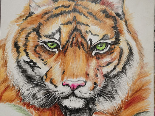 应聘手绘卡片兼职出的作品