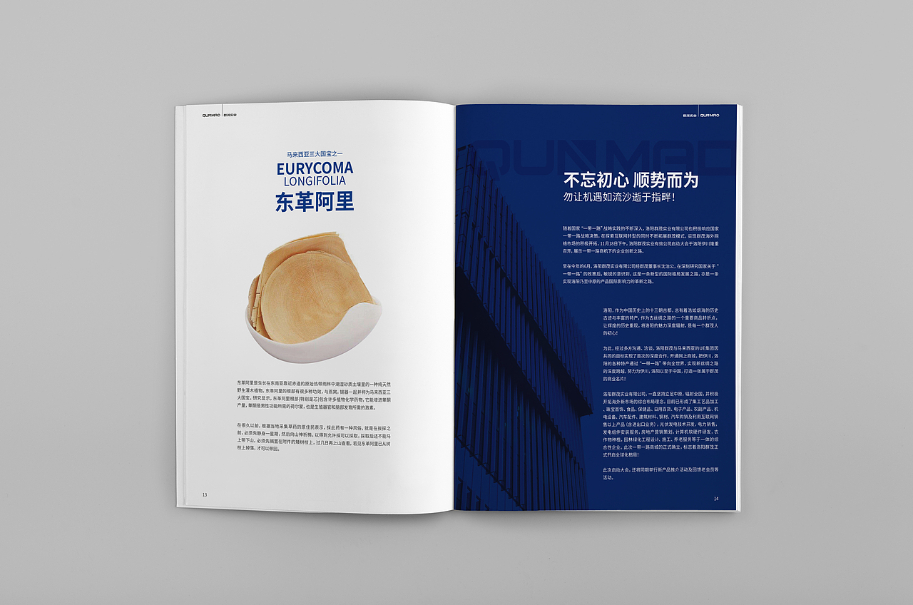 商贸画册（图ZOTgyMDI4MzI=） - 书籍/画册 - 站酷设计师oouipp原创素材 - 站酷ZCOOL