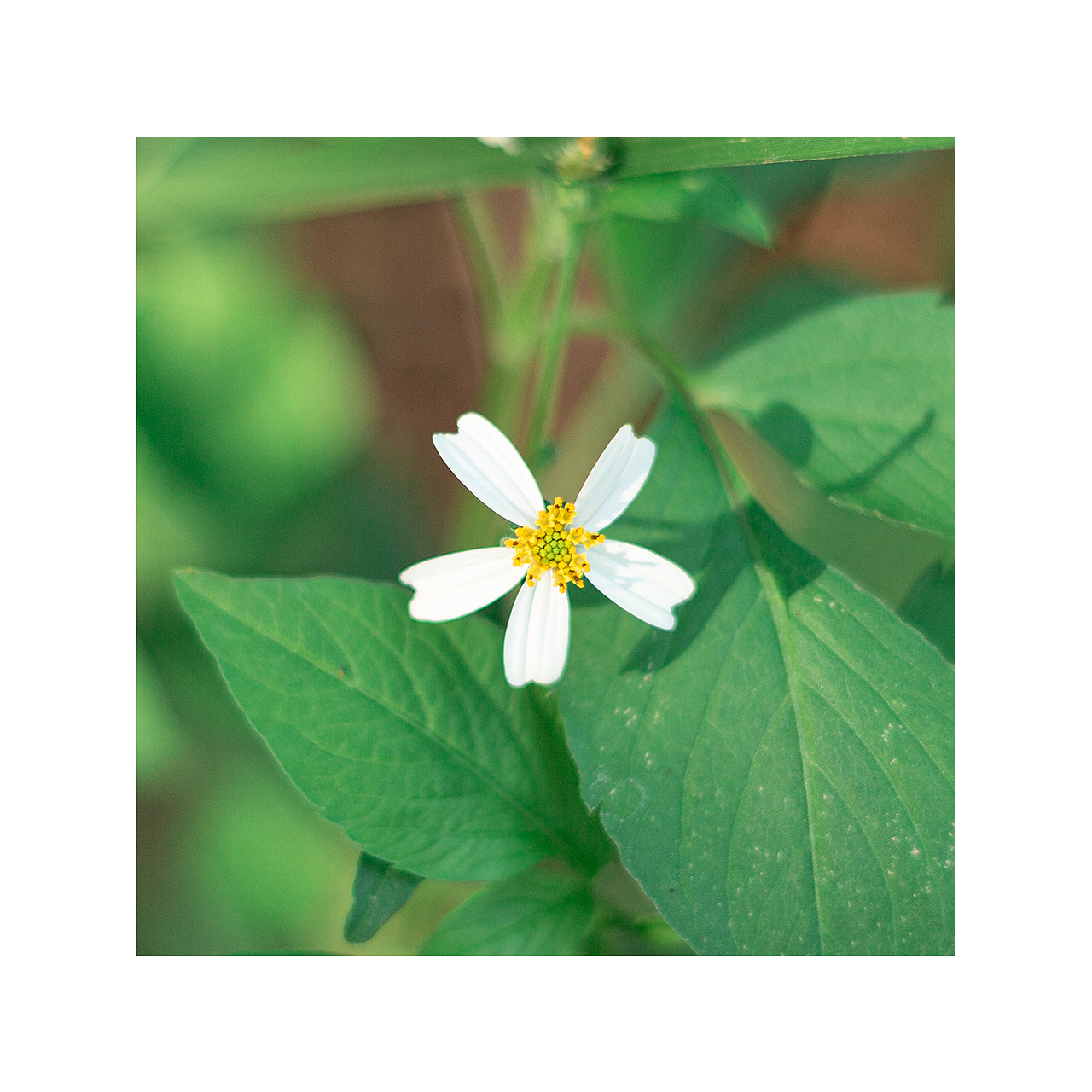 随手拍 | 日常片刻