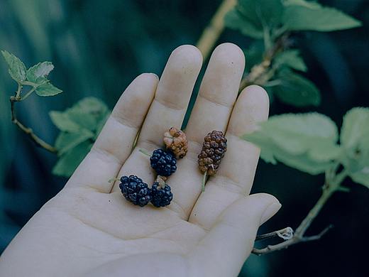 Photo by Xurr