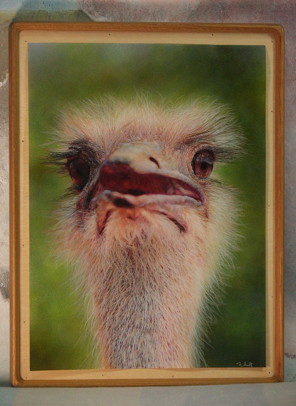 超写实画--可爱的鸵鸟